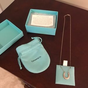 Classic Tiffany Horseshoe Necklace
